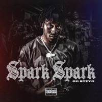 Spark Spark - Single - OG Stevo
