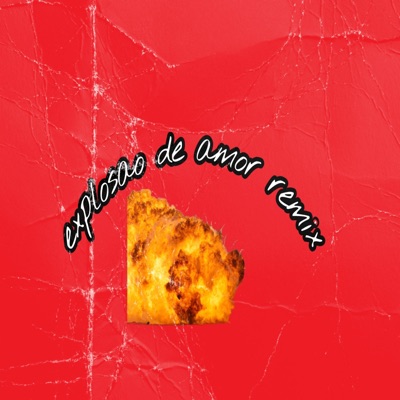 Explosao de Amor Remix - Single