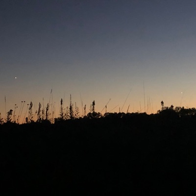 Is It Any Wonder We've Made It This Far? - Single