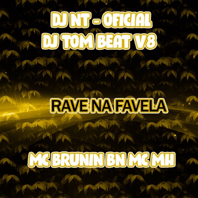 Rave na Favela - Single