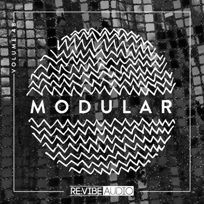 Modular, Vol. 48