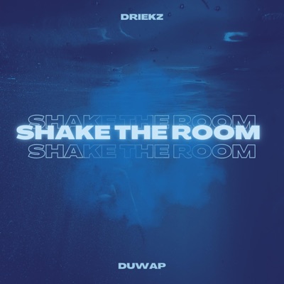Shake The Room (feat. heyduwap) - Single