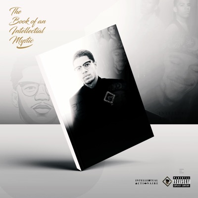 The Book of an Intellectual Mystic