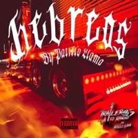 HEBREOS - Single - Patillo Llama & Hatz MF