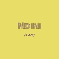 Ndini (I Am) - Single - Tafadzwa