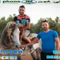Nasro Telmceni Dor 3lik