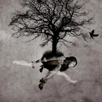 You're a Dancer - Single - Michael Avon Yes