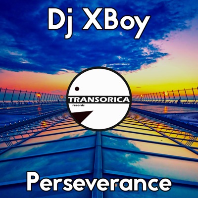 Perseverance - Single