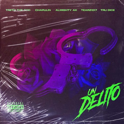 Un Delito (feat. Chapulin, Tearz1017, Almighty AK & Tru Dice) - Single