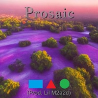 Prosaic - Lil M2a2d