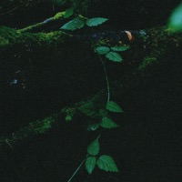 Unfurl - Single - arcata