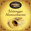 Schönegger Almmusikanten - Schwungrad Polka