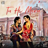 Tu Hi Mera (Lofi Flip) - Single - SPECRO, SKETCH, Dj Vicky Belgaum, Pritam & Shafqat Amanat Ali