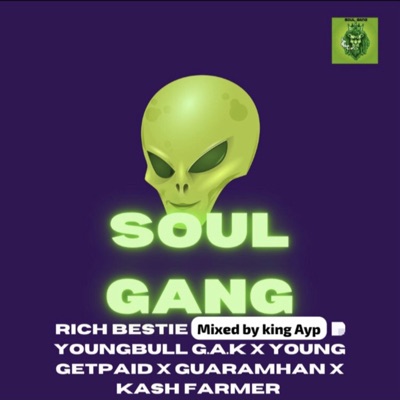 Soul Gang (feat. Youngbull G.A.K, Young Get Paid, GuaraMhan & Kash Farmer) - Single