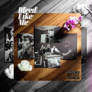 Bleed Like Me (feat. Ty & Litzy)