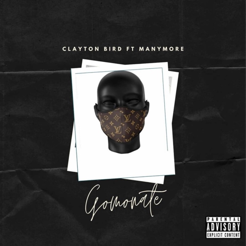 Gomonate (feat. PYY Logdrum King, Stupid, Lebo & Notorious Tee) - Single
