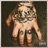 PAIN MOTIVATED (feat. A-F-R-O)