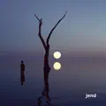 In the Dark