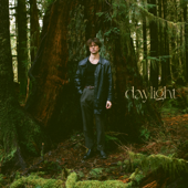 Daylight - David Kushner Cover Art