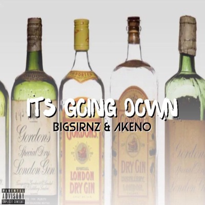 Its Going Down (feat. BigSirNz) - Single