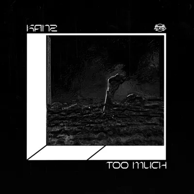 Listen to Too Much - Single by KANZ