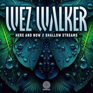 Here and Now / Shallow Streams - Single