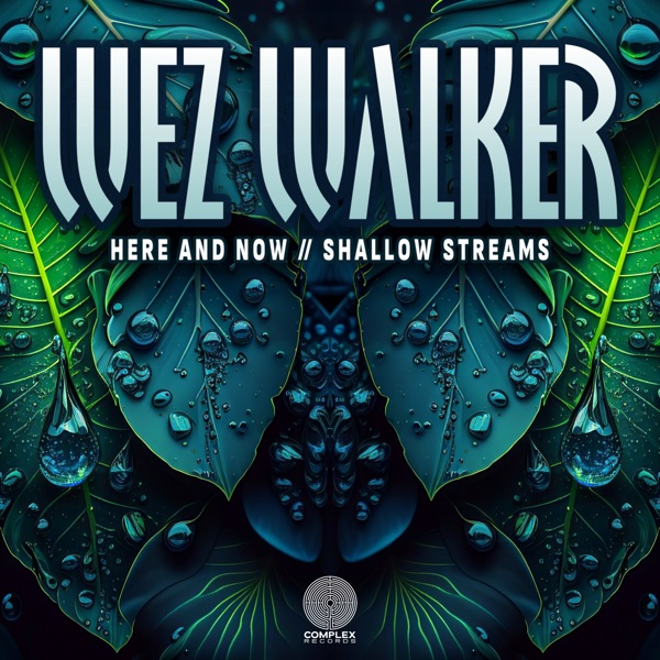 Here and Now / Shallow Streams - Single