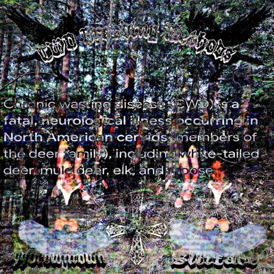 CWD BREEDING METHODS (feat. 99DrownTown) - Single