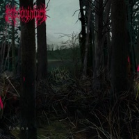 fauna EP - Nobodyinfact