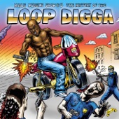 The History of the Loop Digga, 1990-2000 artwork