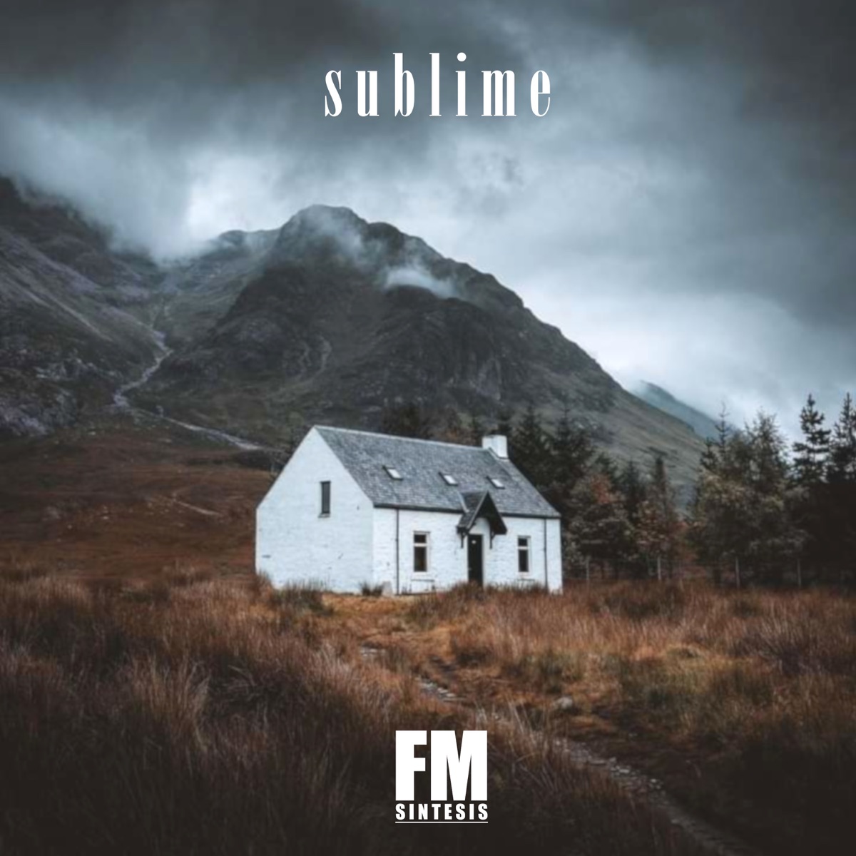 Sublime - Single - Album by FM síntesis - Apple Music