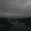 Fear - Single