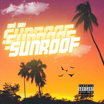 Sunroof - Single