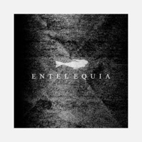 Entelequia - EP - Cheb Ruben