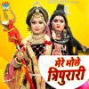 Mere Bhole Tripurari - Single