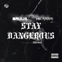 Stay Dangerous (feat. Mic Terror) - Single - BRUUS