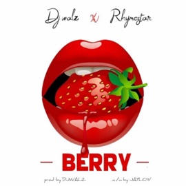 BERRY (feat. Rhymestar) Djwalz