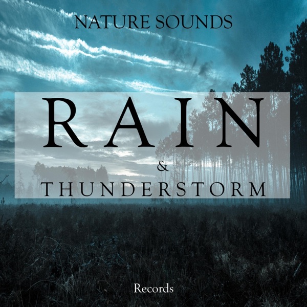 Nature Sounds: Rain and Thunderstorm Records