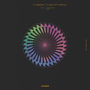 Flight of a Moth - Single