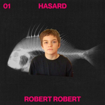 PalmarèsADISQ - Robert Robert - Album: Hasard (feat. Ariane Moffatt) -  Single