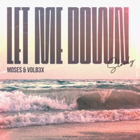 Let Me Down Slowly - Single - Moses & VOLB3X