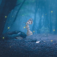 Juegos de Mesa - Single - Magallanes