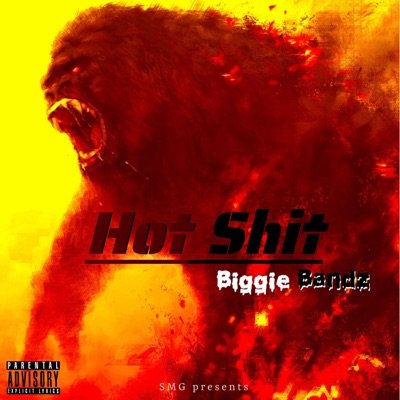 Hot Shit - Single