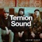 Dovetail (Bukez Finezt Remix) - Ternion Sound lyrics