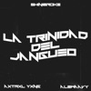 La Trinidad del Jangueo - Single