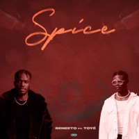 Spice (feat. Toyé) - Single - Beneeto