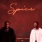 Spice (feat. Toyé) - Beneeto lyrics