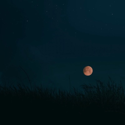 Pain Never Crys - Single