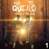 Aun Te Quiero - Single - TM Zaiko & Karelly