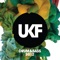 Nothing Matters (Noisia Remix) [feat. Skin] - Mark Knight lyrics